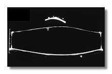 CT Scan of Starivarius Violin Cross-section